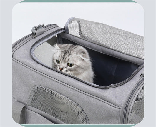 Bolsa Transportadora Plegable para Mascotas Pequeñas - Diseño Respirable - Image 23