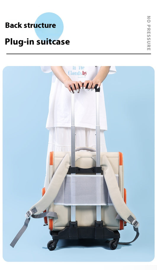 Bolsa Transportadora Panorámica para Gatos - Gran Capacidad - Image 17