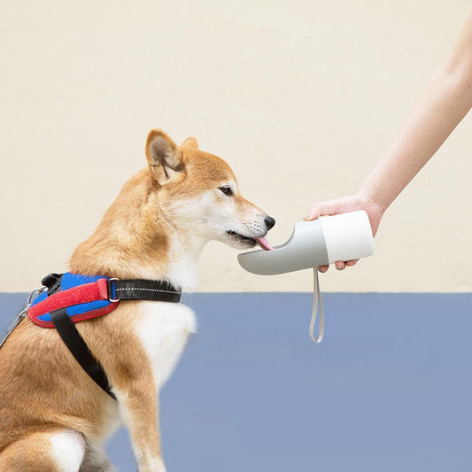 Botella de Agua para Mascotas con Sistema Anti-Derrames - Image 2