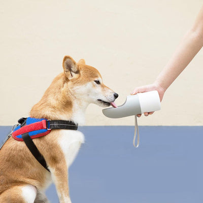Botella de Agua para Mascotas con Sistema Anti-Derrames - Image 2