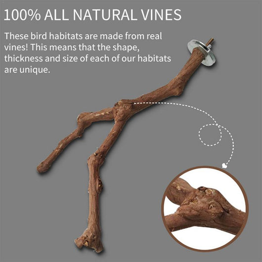 Natural wild grape wood bird perch with a branch, securely mounted inside a white wire bird cage. - Image 15