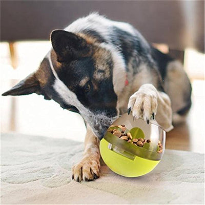 Comedero Antiderrame para Perros - Image 11