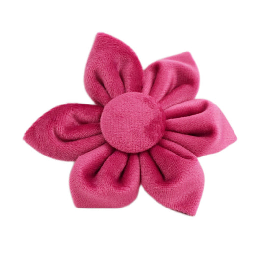 Collar de Perro Terciopelo - Comodidad y Estilo - Image 16