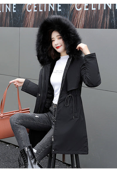 Chaqueta Acolchada de Algodón con Cintura Térmica para Invierno - Image 10