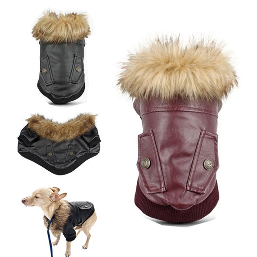 Abrigo de Cuero para Perros con Cuello de Pelaje