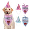Set de Sombreros y Toallas para Fiestas de Cumpleaños de Mascotas