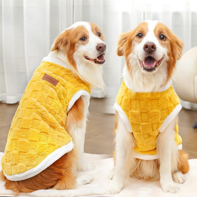 Ropa de Algodón para Mascotas - Colección Otoño Invierno - Image 12