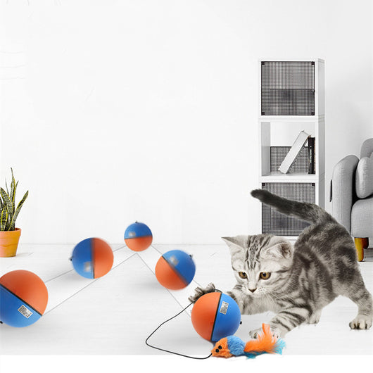 Juguete Interactivo Automático para Gatos - Pelota Inteligente Limpiadora - Image 3