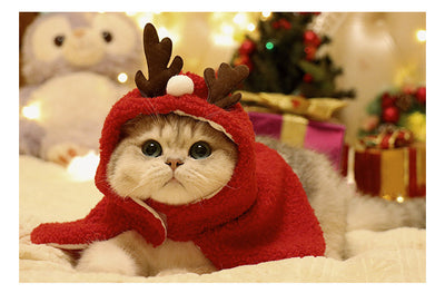 Capa y Gorro Navideño con Astas para Mascotas - Abrigo Cálido Otoño e Invierno - Image 11