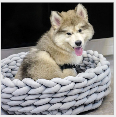 Cama Tejida para Gatos y Perros Lavable a Máquina - Algodón Premium