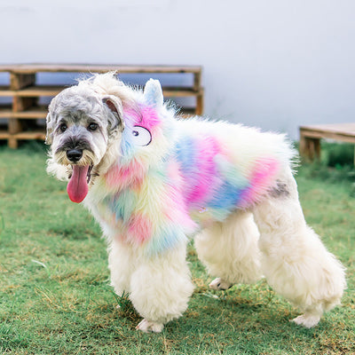 Chamarra Arcoíris para Mascotas Pequeñas - Image 5