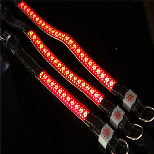 Collar LED Luminoso para Mascotas - Image 4