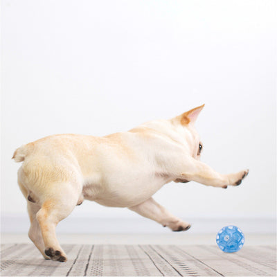 Translucent blue multi-faceted pet toy ball with an internal mechanism, measuring 6.4cm in diameter. - Image 5