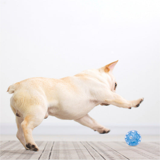 Translucent blue multi-faceted pet toy ball with an internal mechanism, measuring 6.4cm in diameter. - Image 5