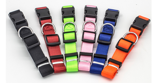 Collar para Mascotas Premium y Ajustable