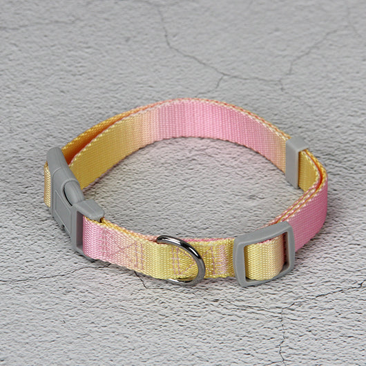Juego de Correa para Perro Degradado Multicolor - Image 7