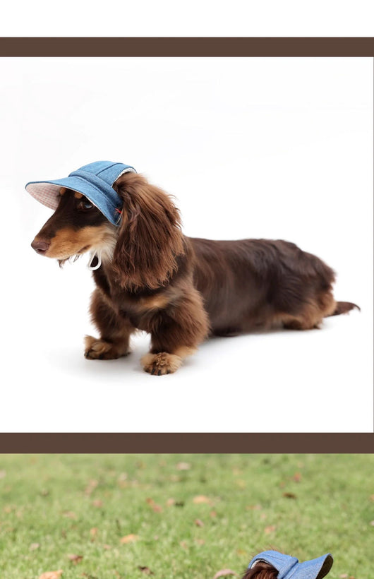 Sombrero Vaquero con Protección Solar para Mascotas - Image 9