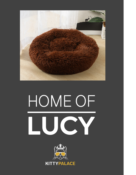 Cama para mascotas con tapete personalizado - Image 9