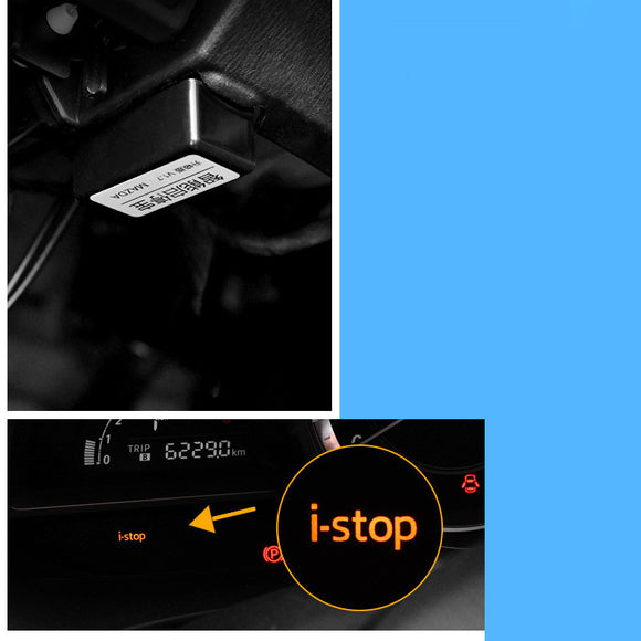 Organizador de Tesoro para Auto