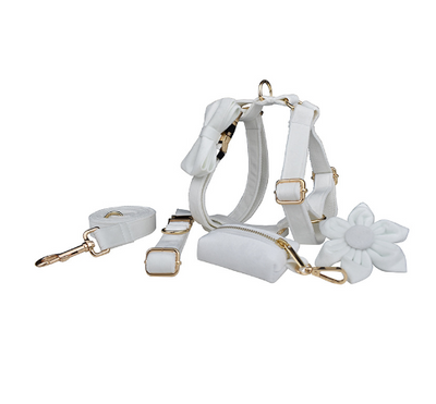 Collar de Terciopelo para Perros - Diseño Elegante y Cómodo - Image 11