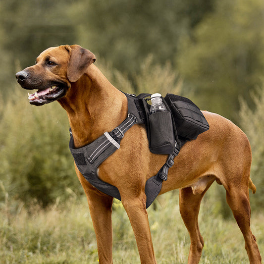 Arnés de Paseo para Perros Cómodo e Impermeable