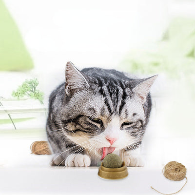 Catnip ball with a rotating base, designed for cats as a treat and molar teeth cleaning toy. - Image 6