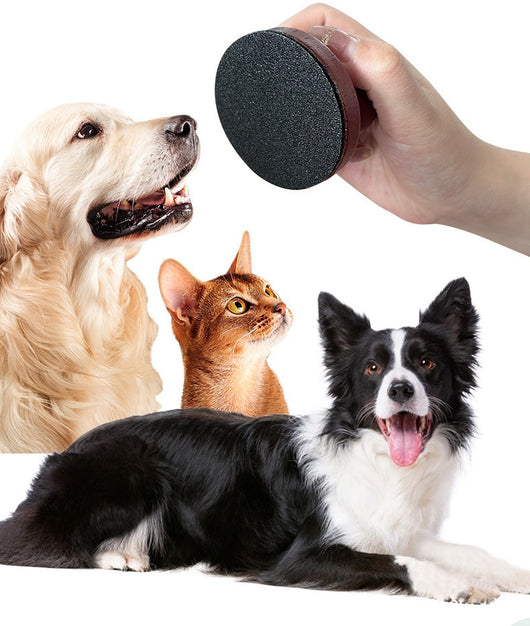 Red wooden dog claw grinding tool with a spherical handle and three circular black abrasive sanding pads. - Image 19