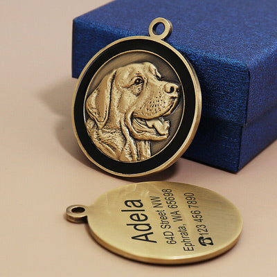 Placa de Identificación Antipérdida para Mascotas - Grabado Personalizado - Image 11