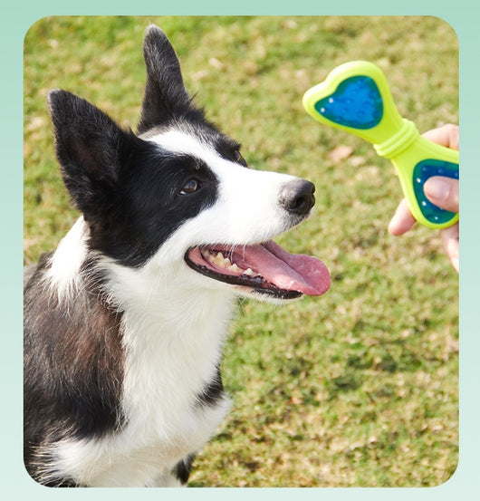 Juguete Mordedor para Perros Hueso Mariposa Resistente - Image 9