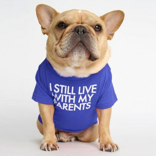 Polera Cuello Alto para Mascotas - Diseño Clásico y Cómodo - Image 19