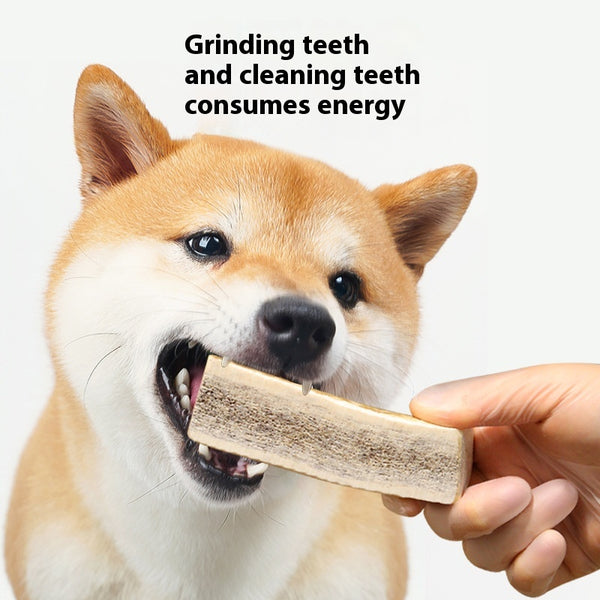 Snacks Masticables para Perros - Limpieza Dental y Resistencia a Mordidas