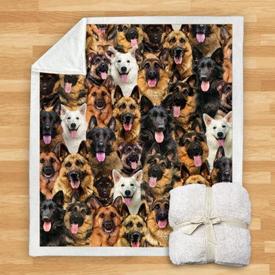 Manta Franela Estampada para Perros - Image 42