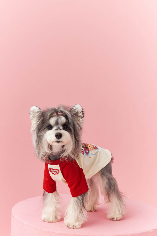 Ropa de Verano para Perros con Contraste de Colores - Image 14
