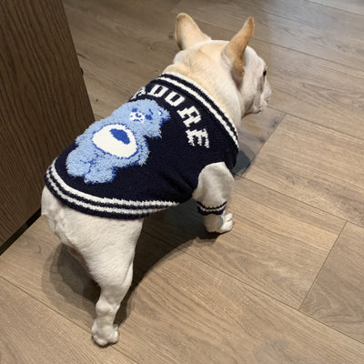 Suéter Arcoíris para Mascotas - Diseño Divertido para Gatos y Perros - Image 6