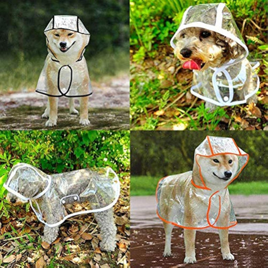 Impermeable Transparente para Perros Pequeños y Medianos con Capucha - Image 7