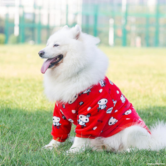 Vestido Transformador para Perros - Ropa de Moda Canina - Image 9