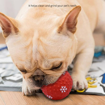 Juguetes Interactivos para Perros y Gatos - Pelotas Resistentes para Limpiar Dientes - Image 3