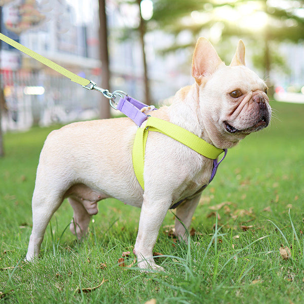 Arnés Chaleco de Correa Ajustable Color Pet para Perros