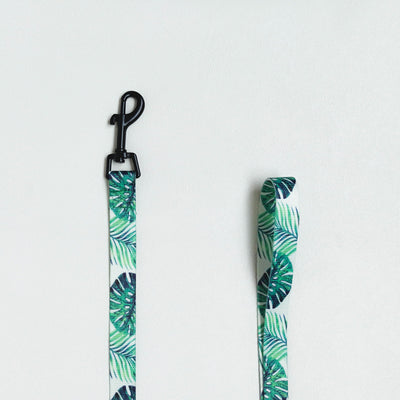 Arnés de Pecho con Cuerda de Tracción para Mascotas - Image 5