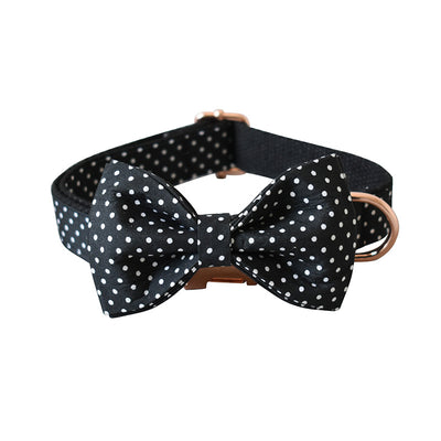 Collar Correa para Perro con Lunares Negro - Image 12