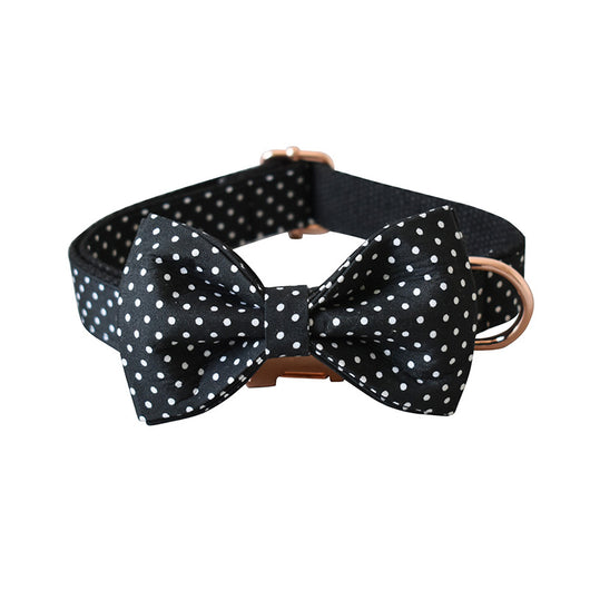 Collar Correa para Perro con Lunares Negro - Image 12