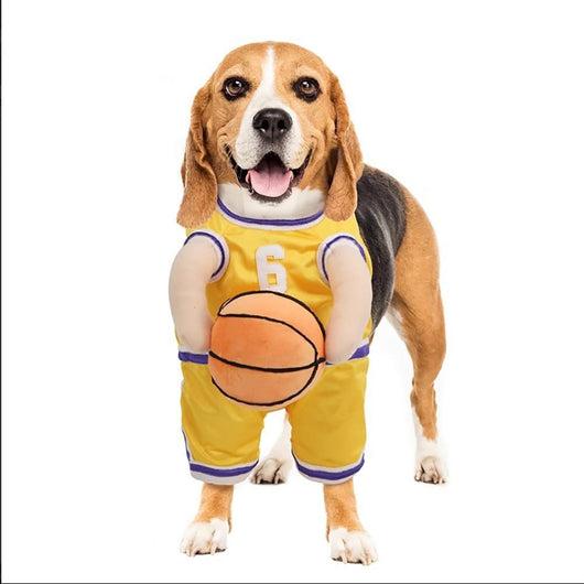 Disfraz de Baloncesto para Perros con Pelota Incluida - Image 3