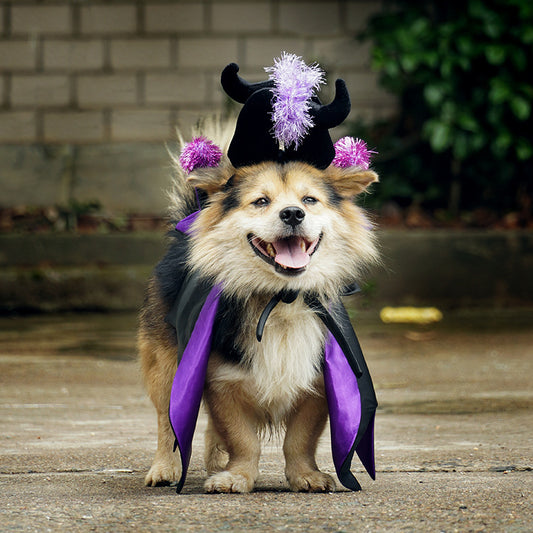 Disfraz de Demonio para Mascotas - Capa y Cuernos Halloween