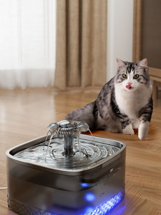 Dispensador Automático de Agua para Gatos en Acero Inoxidable - Image 18