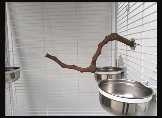 Natural grape wood bird perch with a unique curved branch shape and metal attachment for cage installation. - Image 12