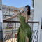 Vestido Sirena de Seda Satinada Verde para Mujer