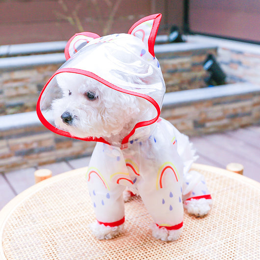 Impermeable Transparente Arcoíris para Perros - Image 13