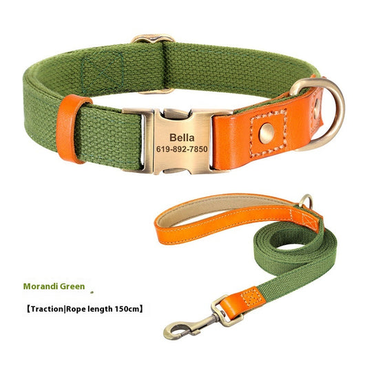 Correa de Paseo y Entrenamiento para Perros Pequeños - Image 4