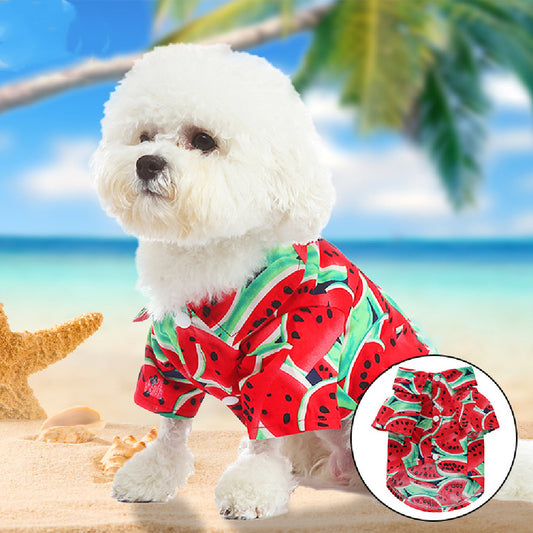 Ropa Casual para Perros con Estilo Frutal