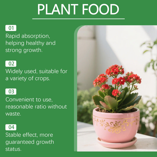 Solución Nutritiva Hidropónica Dual A&B para Flores y Plantas sin Suelo - Image 9